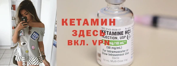 сатива Корсаков