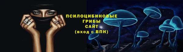 молекула духа Коряжма