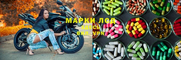 сатива Корсаков
