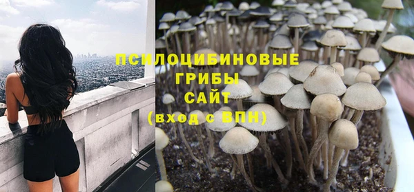сатива Корсаков