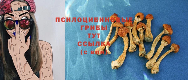молекула духа Коряжма