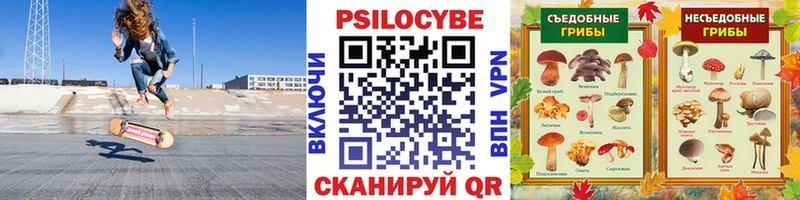 Галлюциногенные грибы Magic Shrooms  Темников 