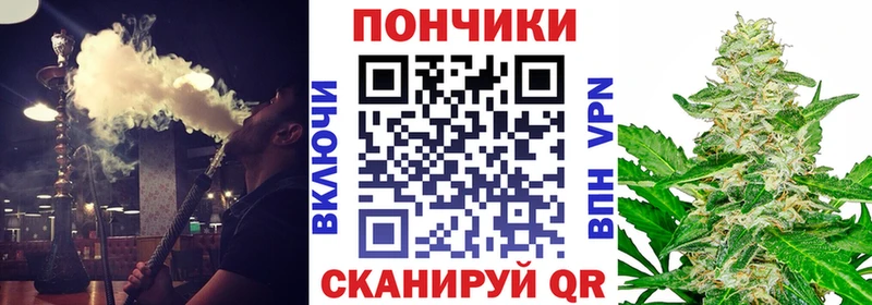 Бошки Шишки семена Темников
